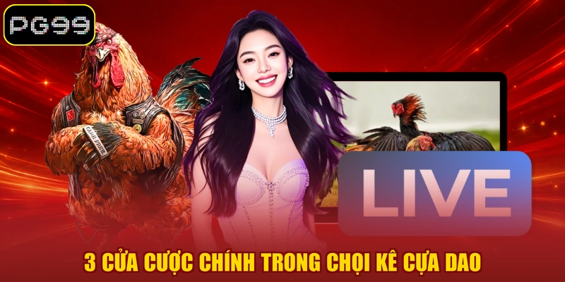 3 cửa cược chính trong chọi kê cựa dao