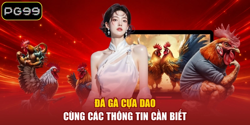 Đá gà cựa dao cùng các thông tin cần biết