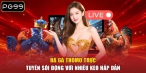 Đá Gà Thomo Trực Tuyến Sôi Động Với Nhiều Kèo Hấp Dẫn