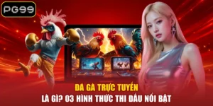 Đá Gà Trực Tuyến Là Gì? 03 Hình Thức Thi Đấu Nổi Bật