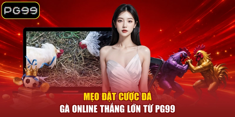 Mẹo đặt cược đá gà online thắng lớn từ PG99