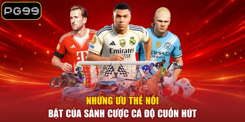 Những ưu thế nổi bật của sảnh cược cá độ cuốn hút