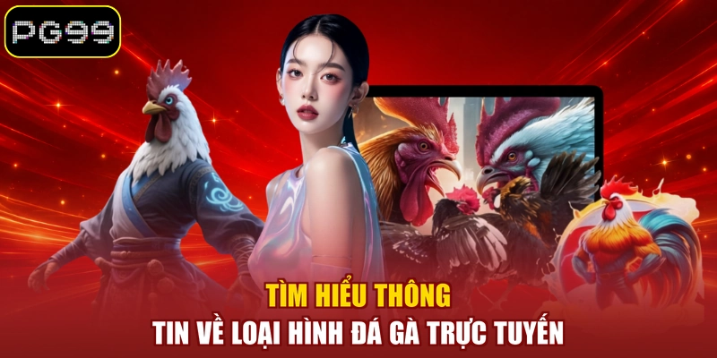 Tìm hiểu thông tin về loại hình đá gà trực tuyến