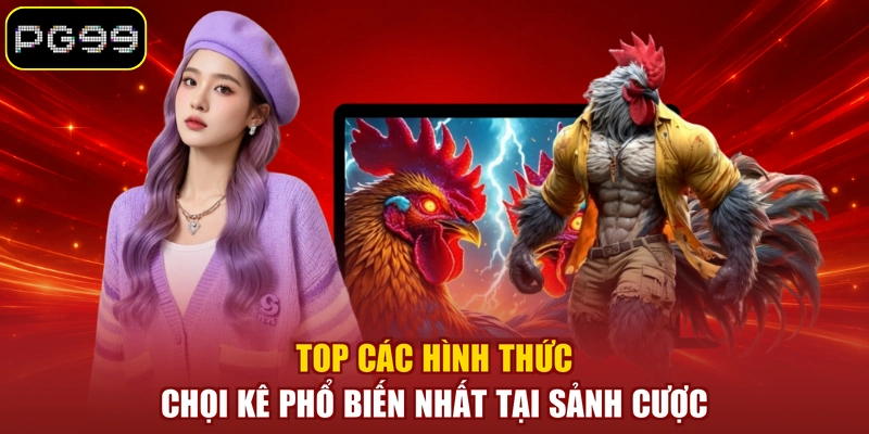 Top các hình thức chọi kê phổ biến nhất tại sảnh cược